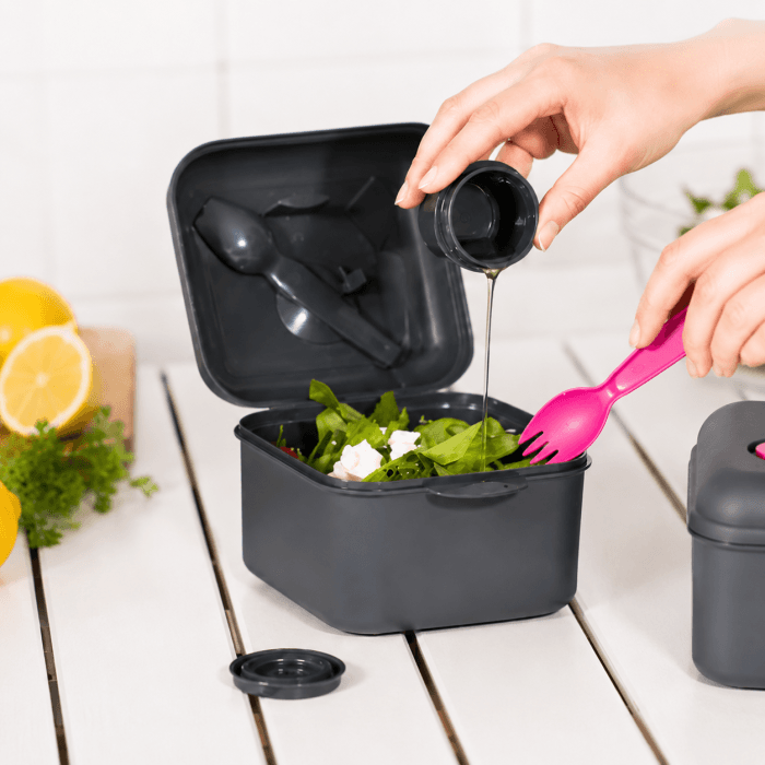 Cutie pentru Pranz To Go cu Recipient pentru Dressing — reducere 56% de la 67 lei la 29,75 lei
